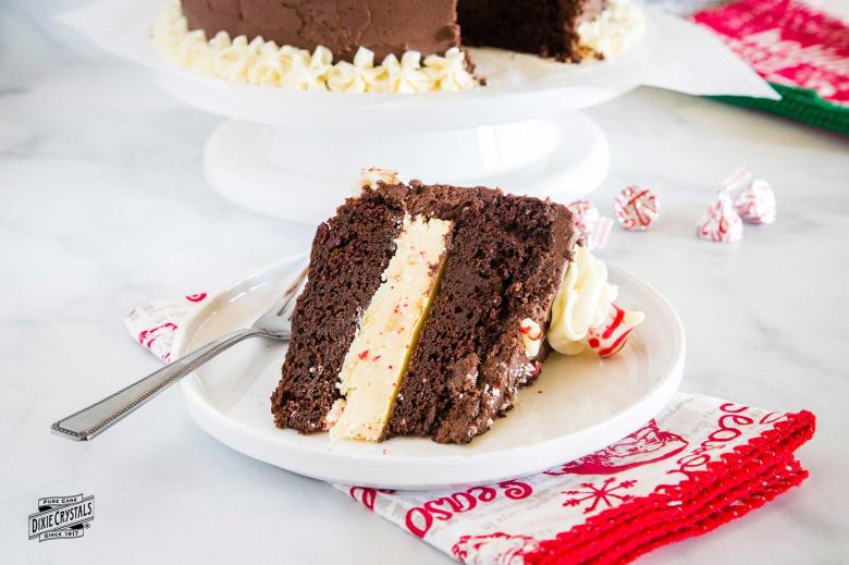 Chocolate Peppermint Malt Cake - Baking with Blondie