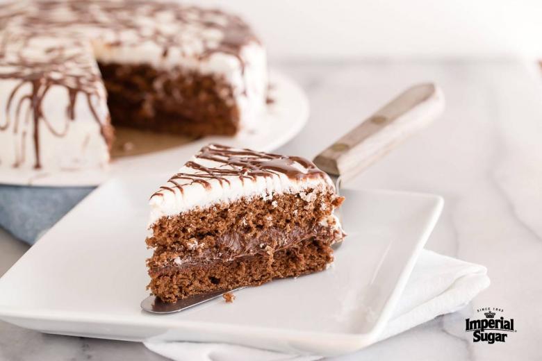17 Minute Chocolate Cake With Silhouette Frosting